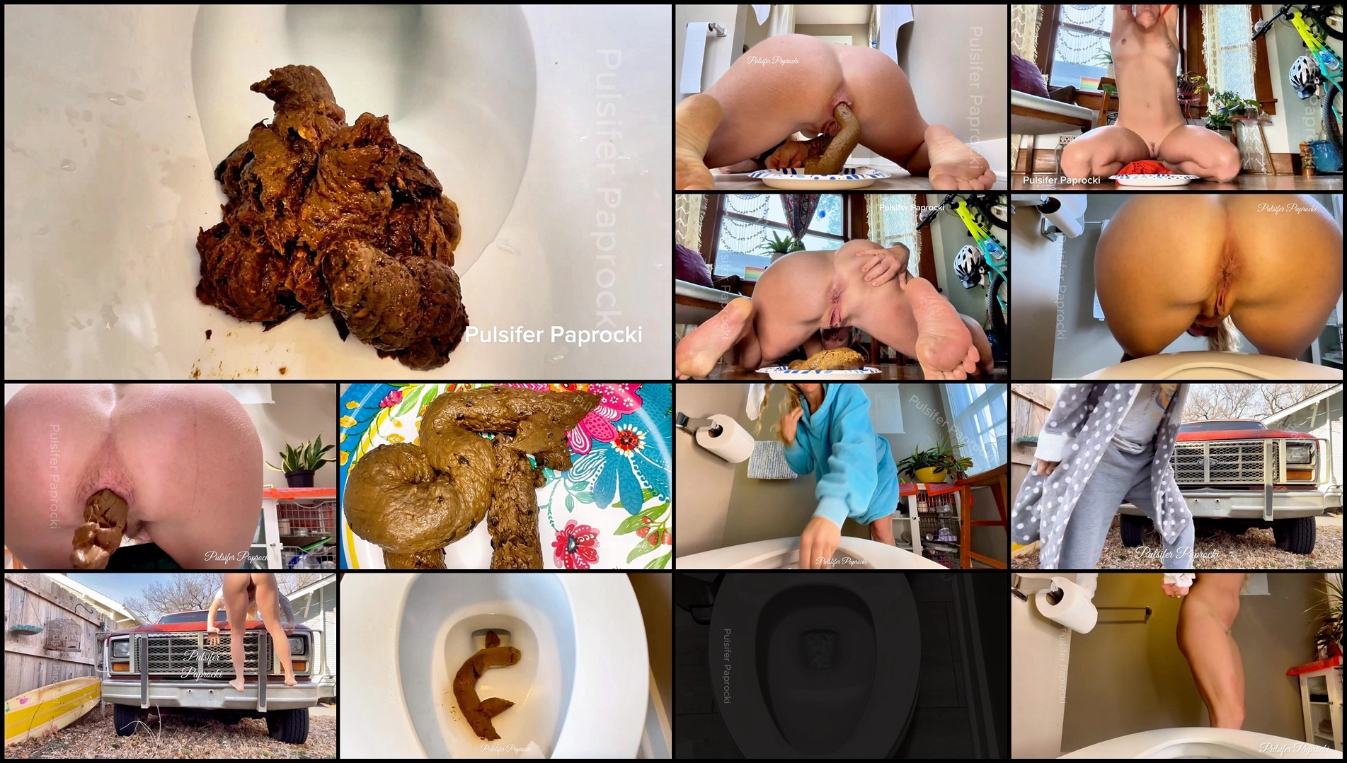 PulsiferPaprocki – PP's Faves- Shit Compilation #1 new extreme porn videos