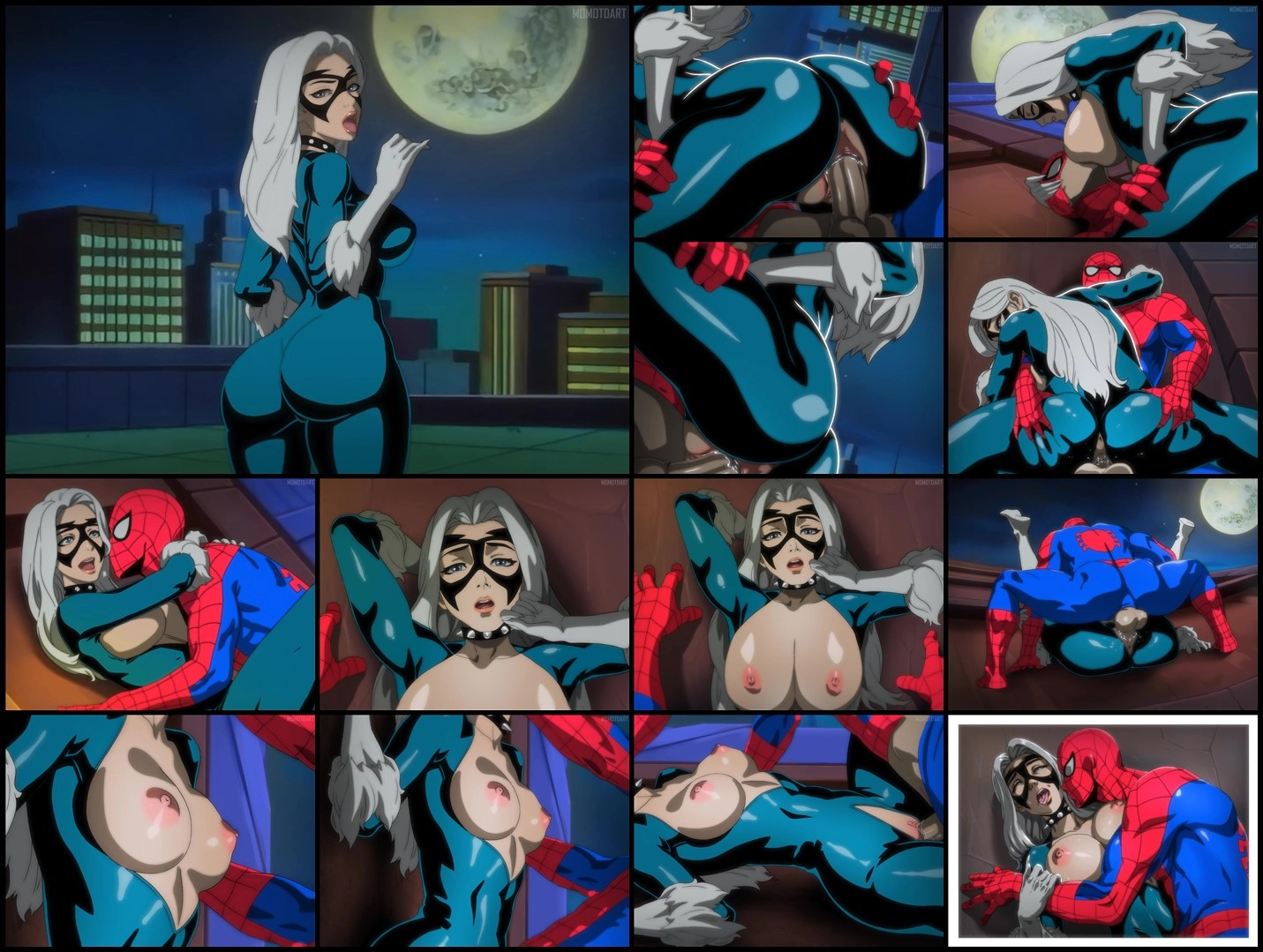 BLACK CAT ANIMATION [MOMOTDart]